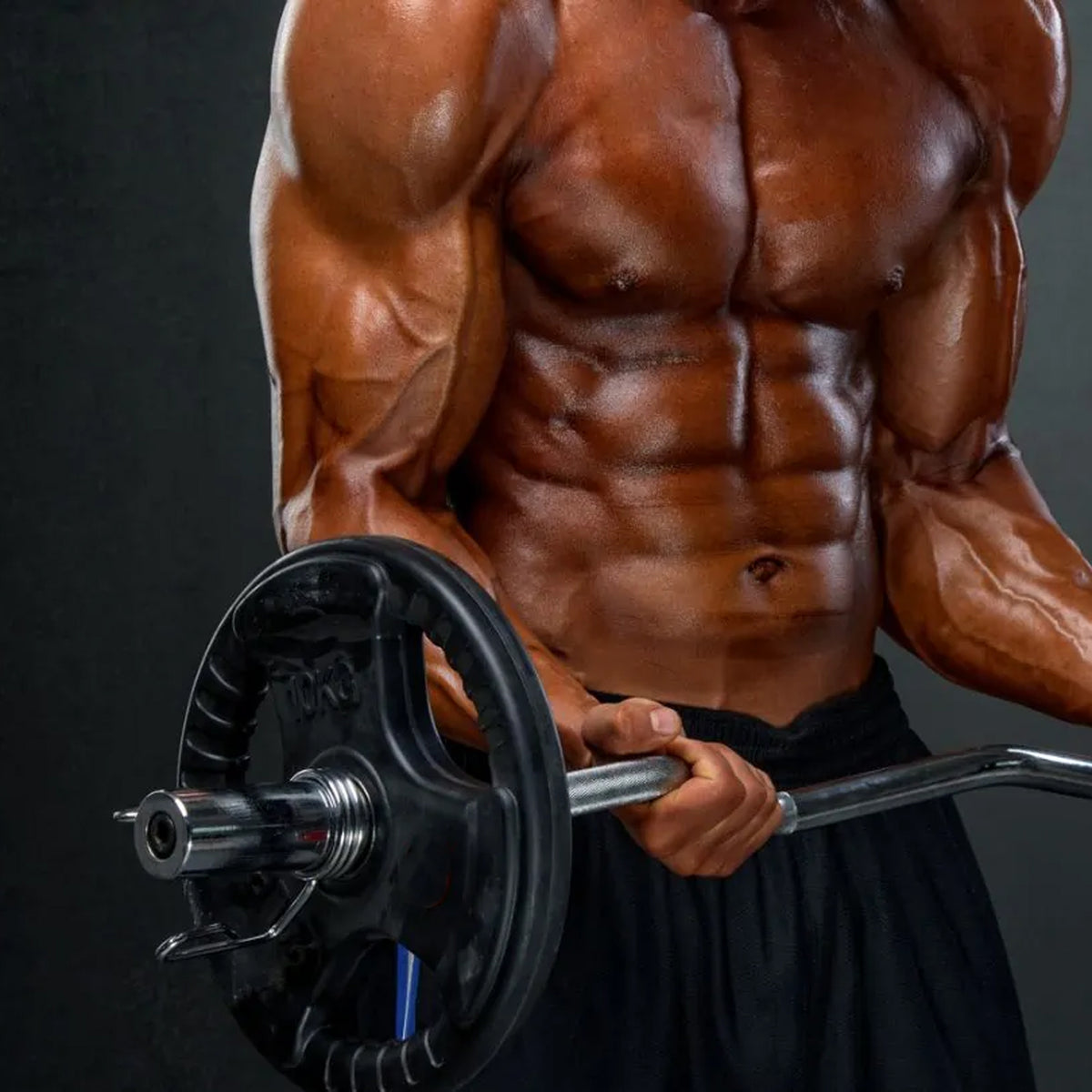 EZ curl bar loaded with weight plates during a biceps curl