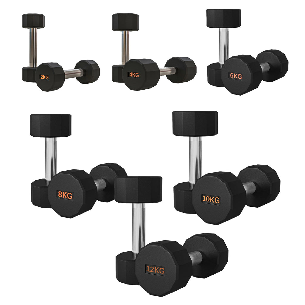 Round Hex Dumbbells Pair with Rack