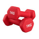 Pair (2 Dumbbells) / 1.0 kg
