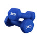 Pair (2 Dumbbells) / 3.0 kg