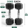 Two 30KG dumbbells with detailed measurements on a white background