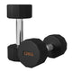 Pair(2 Dumbbells) / 2x12Kg
