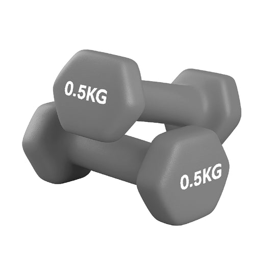 Neoprene hex dumbbell pair, 0.5 kg, grey, on a white background