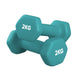 Pair (2 Dumbbells) / 2.0 kg / Blue
