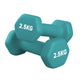 Pair (2 Dumbbells) / 2.5 kg / Blue
