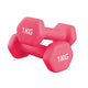 Pair (2 Dumbbells) / 1.0 kg / Pink