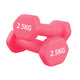 Pair (2 Dumbbells) / 2.5 kg / Pink