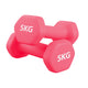Pair (2 Dumbbells) / 5.0 kg / Pink