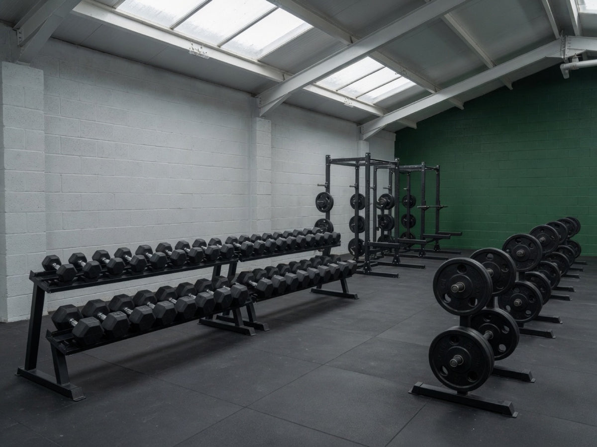 Commercial gym floor with dumbbell racks and plate trees